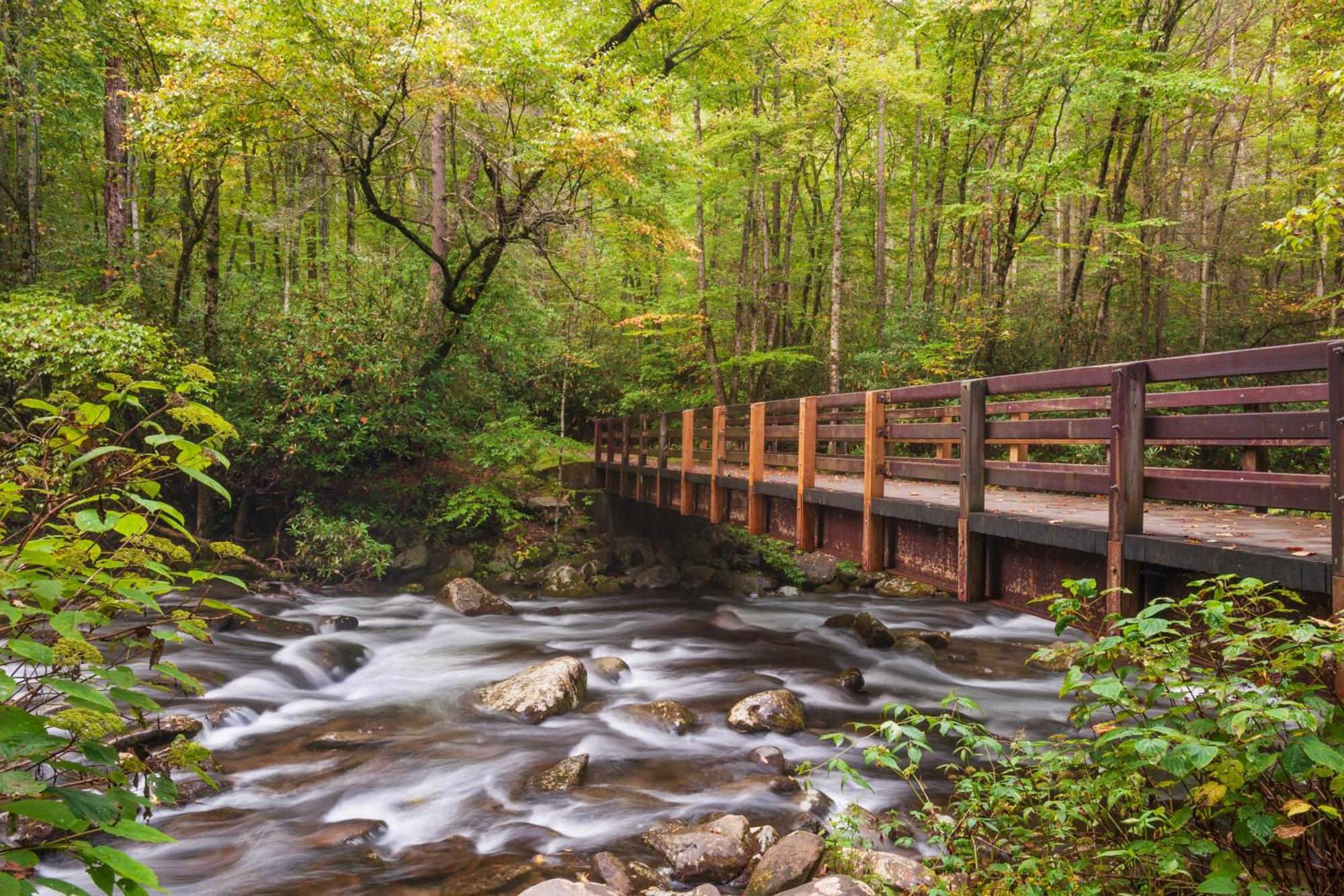 Four Bears Den, Hot Tub, 1089 Of Free Attraction Tickets For Each Paid Day, Dollywood And More Гетлинбург Екстериор снимка