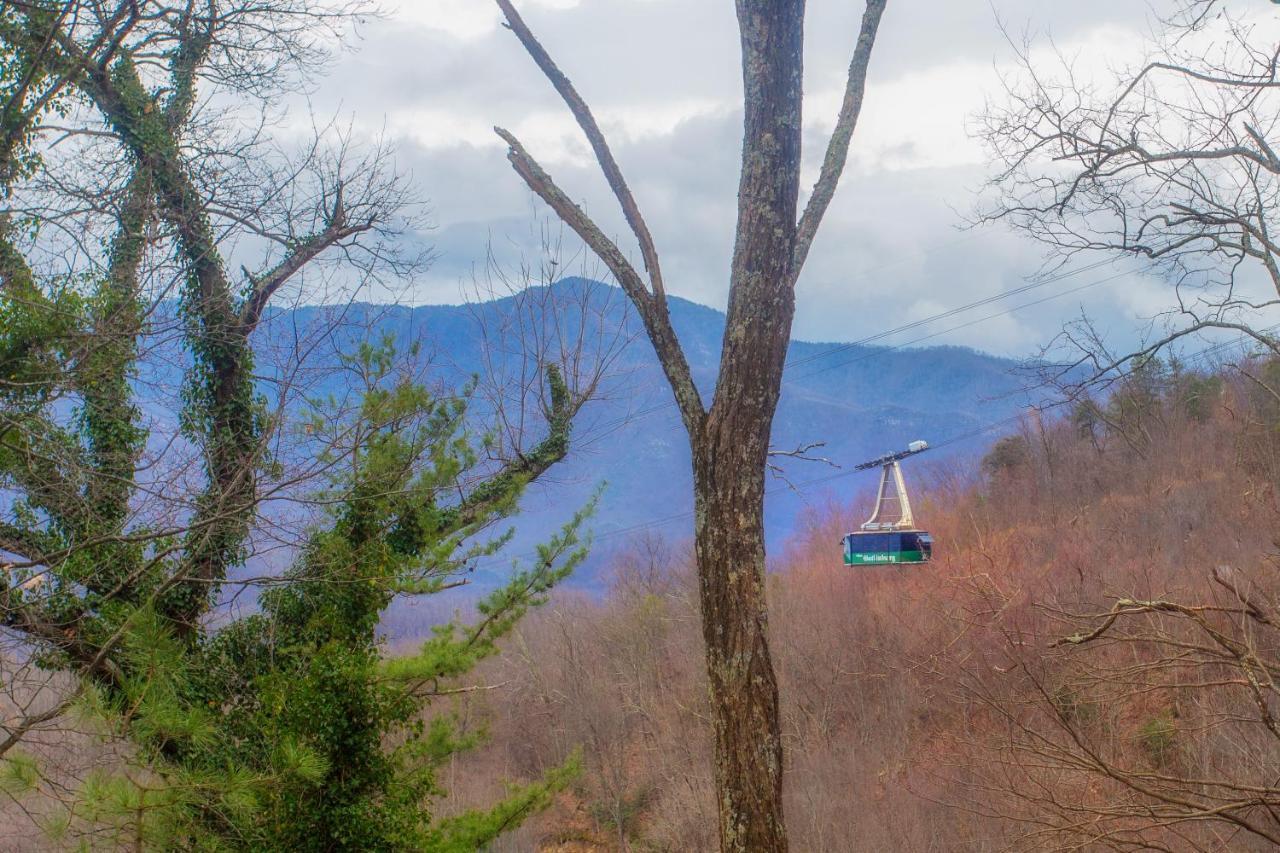 Four Bears Den, Hot Tub, 1089 Of Free Attraction Tickets For Each Paid Day, Dollywood And More Гетлинбург Екстериор снимка
